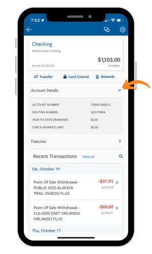 Mobile app screenshot of account details